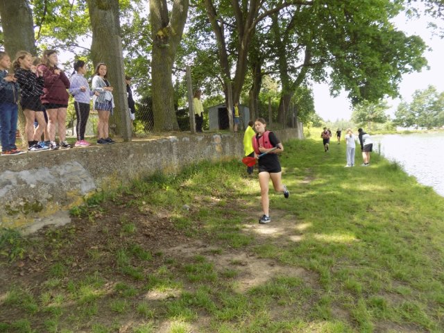 bernartickysurvival3 50